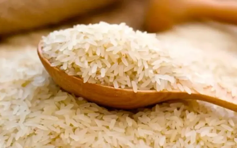بـكام الطـن؟.. سعر طن الأرز الشعير اليوم الجمعة 2 اغسطس 2024 للمستهلك بالسوق المحلي