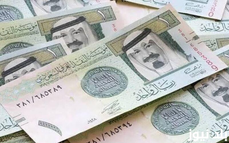 السعودي بكام؟.. سعر الريال السعودي مقابل الجنيه المصري اليوم الخميس بتاريخ 1 أغسطس 2024 في السوق السوداء والبنوك