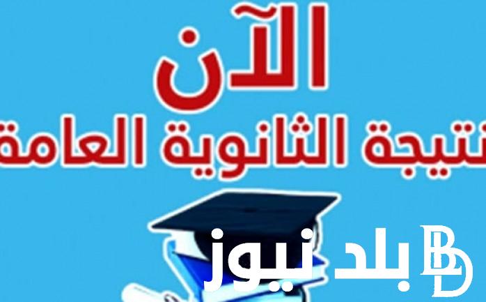 رابط بوابة الثانوية العامة للنتائج 2024 ومعدلات النجاح في الثانوية العام 2024