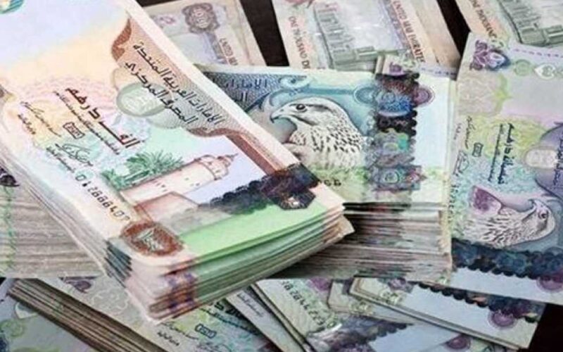 “الإماراتي ينخفض”.. سعر الدرهم الإماراتي في السوق السوداء اليوم الثلاثاء 13/8/2024 والبنوك المصرية المختلفة