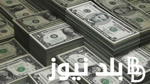 100 دولار كم جنيه مصري في السوق السوداء اليوم الأربعاء 14 أغسطس 2024 وداخل البنوك المصرية