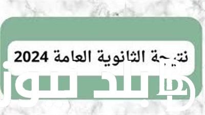 حقيقة تسريب نتيجة الثانوية العامة 2024 للطلاب بالدرجات.. ورابط الاستعلام عن النتيجة بعد اعتمادها عبر moe.gov.eg