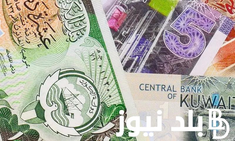 “إشتعال الدينار” .. سعر دينار كويتي اليوم الخميس الموافق 8 أغسطس 2024 في السوق السوداء وكافة البنوك