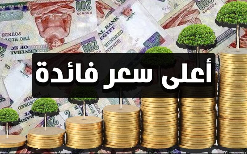 “احصل على دخل شهري 15 ألف جنيه” اعلى فوائد شهادات ادخار في البنوك.. التفاصيل كاملة