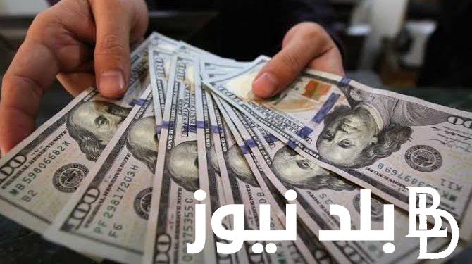 “الاخضر يرتفع” سعر الدولار اليوم مقابل الجنيه المصري في جميع البنوك والسوق السوداء الثلاثاء 13 اغسطس 2024