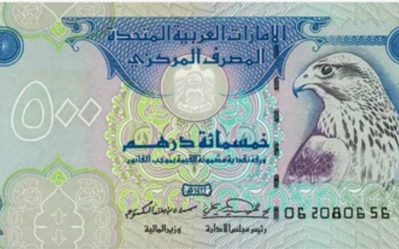 انخفاض الاماراتي.. سعر الدرهم الاماراتي مقابل الجنيه المصري اليوم الاربعاء 14 اغسطس 2024 في البنوك المصرية والسوق السوداء