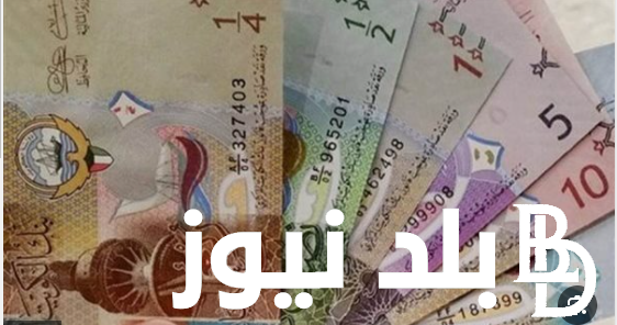 “الكويتى في القمه” سعر الدينار الكويتي اليوم في السوق السوداء الجمعه الموافق 16 اغسطس 2024 وفي البنوك المصرية