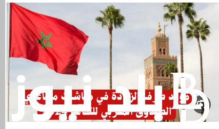 ما هى قيمة الزيادة في معاشات متقاعدي الصندوق المغربي للتقاعد 2024 وخطوات الاستعلام عبر موقع finances.gov.ma