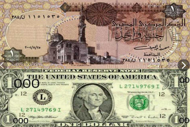 سعر الدولار اليوم مقابل الجنيه المصرى الإثنين الموافق 12/8/2024 في البنوك والسوق