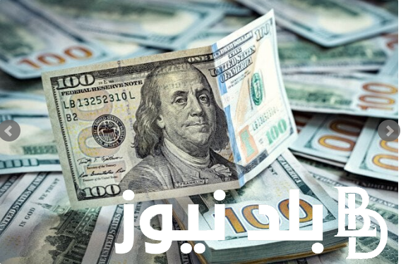 “طاااالع في العالي”سعر الدولار اليوم في مصر تحديث يومي الثلاثاء الموافق 13 اغسطس 2024 في البنوك المصرية