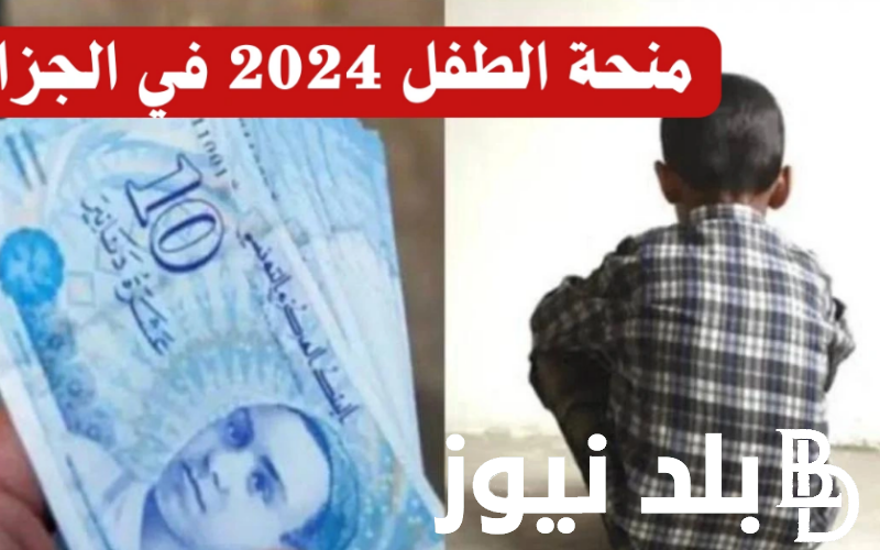 من هنا رابط التقديم في منحة الطفل الجزائرية 2024 عبر الموقع الرسمي لوزارة التضامن الجزائرية