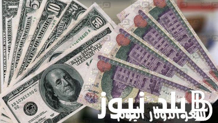 “الدولار يتراجع”.. سعر الدولار اليوم مقابل الجنيه المصرى الثلاثاء 13/8/2024 في السوق السوداء والبنوك المختلفة