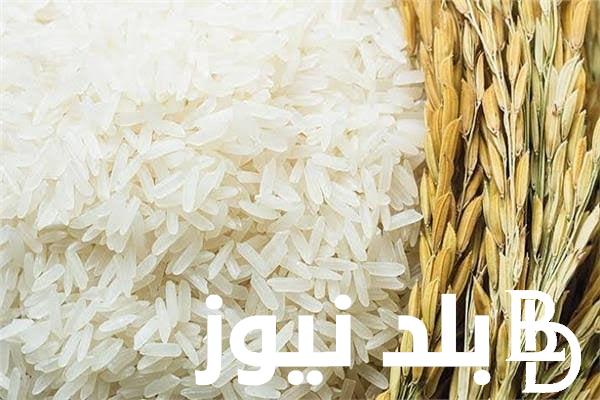 سعر كيلو الارز اليوم بكم ؟.. سعر طن الأرز الشعير اليوم الخميس 1 اغسطس 2024 للمُستهلك في الاسواق المصرية