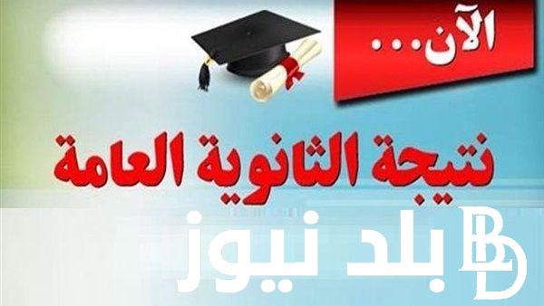 غدًا.. اعتماد نتيجة 3 ثانوي 2024 وخطوات الاستعلام عن النتيجة من خلال هذا الرابط moe.gov.eg