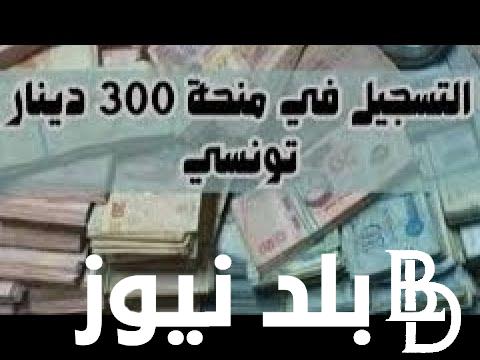 ما هى حقيقة زيادة منحة تونس 300 دينار في تونس وخطوات التسجيل في المنحة واهم الشروط الواجب توافرها