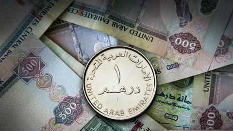 اعرف وصل لكام.. سعر الدرهم الإماراتي مقابل الجنيه المصري اليوم الأثنين 19/8/2024 وفي البنوك المصرية