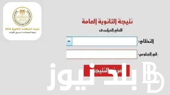 تعرف على نسبة النجاح في نتيجة الثانوية العامة 2024.. وزارة التربية والتعليم والتعليم الفني تعلن