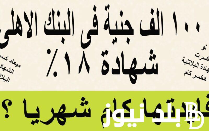 فوائد الـ100000 في الشهر كام؟.. كم فوائد 100 ألف جنيه في البنك في الشهر استثمر واضمن فلوسك في شهادات البنك الاهلي المصري