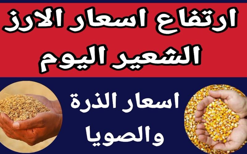 “ارتفاع كبير” سعر طن الأرز الشعير اليوم الخميس 22 أغسطس 2024 وأسعار السلع الأساسية بالأسواق المصرية