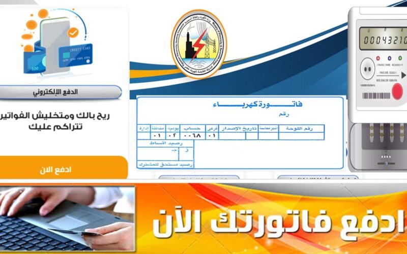 “شهر اغسطس” رابط الاستعلام عن فاتورة الكهرباء برقم العداد 2024 عبر moee.gov.eg