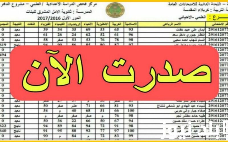 إليكم.. رابط الاستعلام عن نتائج اعتراضات السادس الاعدادي دور أول 2024 عبر موقع نتائجنا results.mlazemna.com