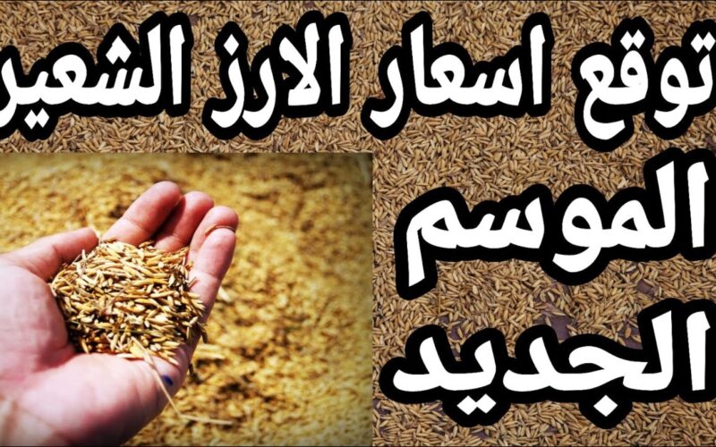 “تراجع مُهيب” سعر طن الأرز الشعير اليوم الثلاثاء 6-8-2024 للمُستهلك بالاسواق.. واسعار السلع التموينية والغذائية