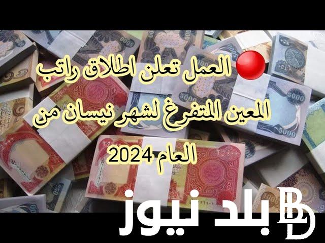 “من هُنا” منصة راتب المعين المتفرغ 2024 في العراق واهم الشروط المطلوبة للاستقادة من الدعم