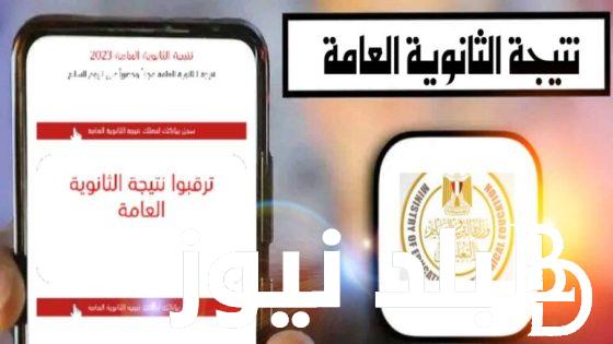 استعلم الان.. موقع الدستور نتيجة الثانوية العامة 2024 برقم الجلوس وخطوات استخراج النتيجة