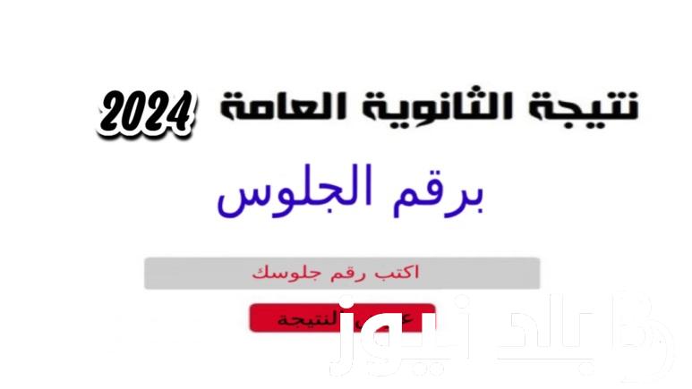 “اعرف ترتيبك” التربيه والتعليم نتيجه الثانويه العامه 2024 للدور الأول في الفرعين العلمي والأدبي ومؤشرات نسب النجاح