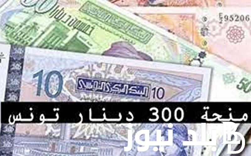 “منحة تونس 300 دينار” لعام 2024 وشروط القبول بالمنحة والأوراق المطلوبة لذلك