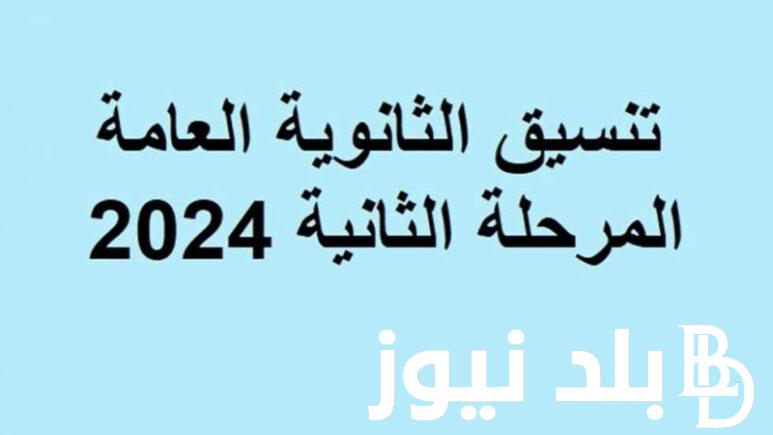 التعليم تُوضح: تنسيق الثانوية العامة 2024 وطريقة تسجيل رغبات المرحلة الأولى