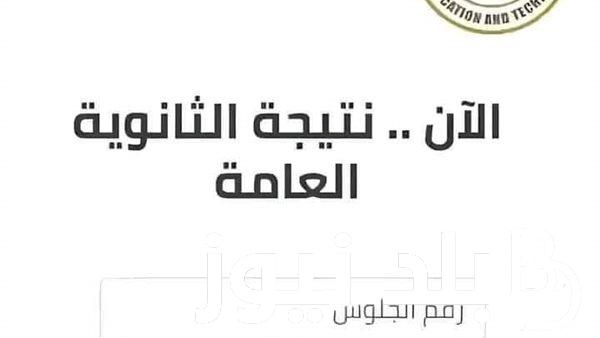 كيفية االأستعلام عن نتيجة الثانوية العامة بعد إضافة درجتين وخطوات الأستعلام عن نتيجة الثانوية العامة برقم الجلوس 2024