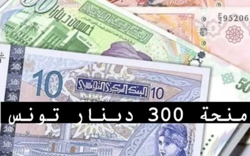 آخر تحديث لمنحة تونس 300 دينار.. وما هى خطوات التسجيل فى منحة تونس 300 دينار 2024