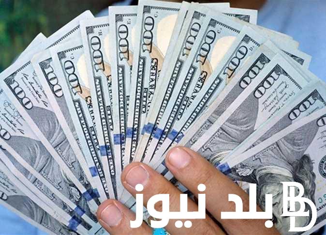 بكـام الدولار؟.. أعلى سعر للدولار اليوم في السوق السوداء الخميس 15/8/2024 وكافة البنوك وشركات الصرافة