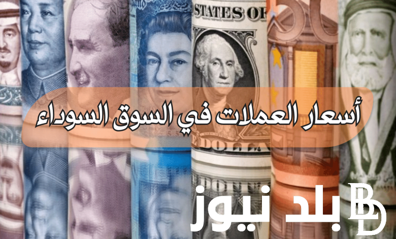 تعرف على أسعار العملات في السوق السوداء اليوم الأحد الموافق 11 اغسطس 2024 مقابل الجنية المصرى