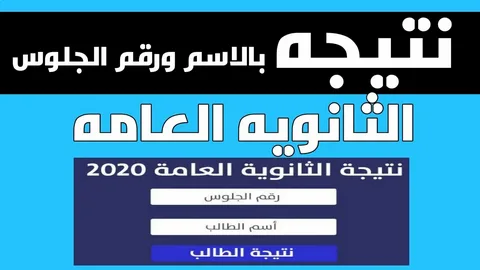 نتيجة الثانوية العامة 2024 برقم الجلوس اليوم السابع| ورابط الاستعلام عبر موقع وزارة التربية والتعليم الالكتروني moe.gov.eg