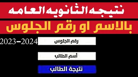 هل ظهرت نتيجة الثانوية العامة 2024| وزارة التربية والتعليم توضحٌ التفاصيل ورابط الاستعلام عبر moe.gov.eg