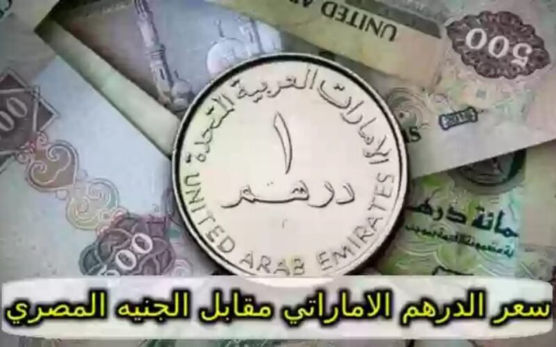 سعر الدرهم الاماراتي اليوم الثلاثاء 10/9/2024 مقابل الجنيه المصري.. الدرهم الاماراتي في السوق السوداء بكام؟