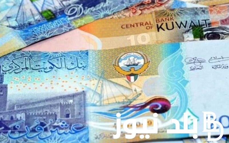 1000 دينار كويتي يعمل كام بالمصري؟ سعر الدينار الكويتي اليوم الثلاثاء الموافق 17 سبتمبر 2024 بالسوق الموازي