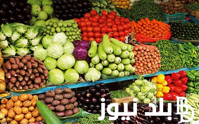 أسعار الخضار في سوق العبور اليوم الأربعاء 11/9/2024 وفي كافة الأسواق المصرية المختلفة