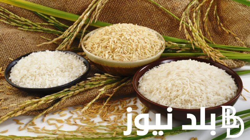 سعر طن الأرز الشعير اليوم الأربعاء 11 سبتمبر 2024 للتجار والمستهلكين بالاسواق