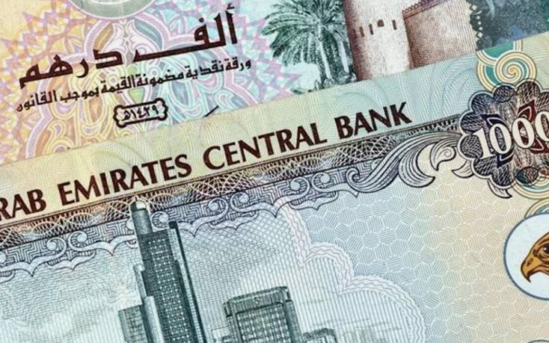 الدرهم الاماراتي عامل كم مصري اليوم؟.. سعر الدرهم الاماراتي اليوم السبت 7 سبتمبر 2024 في السوق السوداء و البنوك