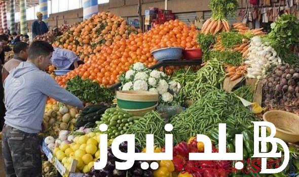 اسعار الخضار اليوم الإثنين الموافق 16 سبتمبر فى الأسواق المحلية المصرية و تسعيرة العبور في مصر للمستهلك