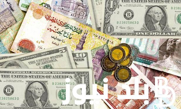 “استقرار الامريكي”.. سعر الدولار اليوم مقابل الجنيه المصري في البنوك والسوق السوداء الثلاثاء 17 سبتمبر 2024