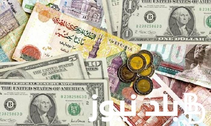 الأخضر بكام؟ سعر الدولار اليوم في السوق السوداء الجمعة 20 سبتمبر 2024 مقابل الجنيه المصري