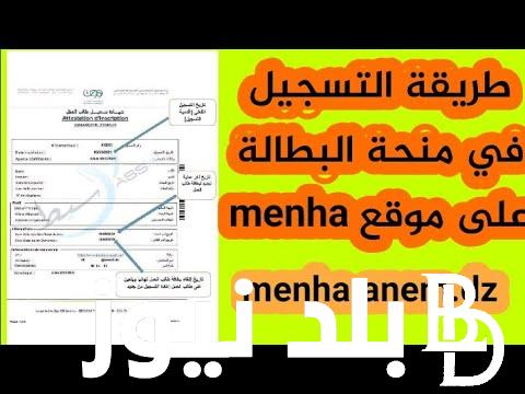 من هنا.. كيفية التسجيل في منحة البطالة 2024 بالجزائر عبر الوكالة الوطنية للتشغيل anem.dz وشروط التسجيل المطلوبة