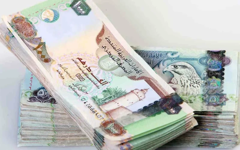 “الاماراتي مستقر” سعر الدرهم الاماراتي اليوم في السوق السوداء الجمعه الموافق 6 سبتمبر 2024 وفي البنوك المصرية