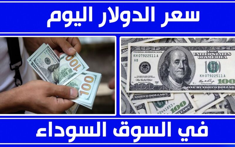 “الأخضر مستقر” سعر الدولار في السوق السوداء اليوم الثلاثاء الموافق 3 سبتمبر 2024 وفي كافة البنوك