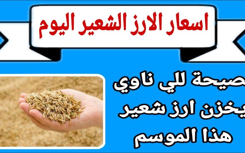 سعر طن الأرز الشعير اليوم الاحد 8 سبتمبر 2024 بالحبة الرفيعة والعريضة في الاسواق المحلية