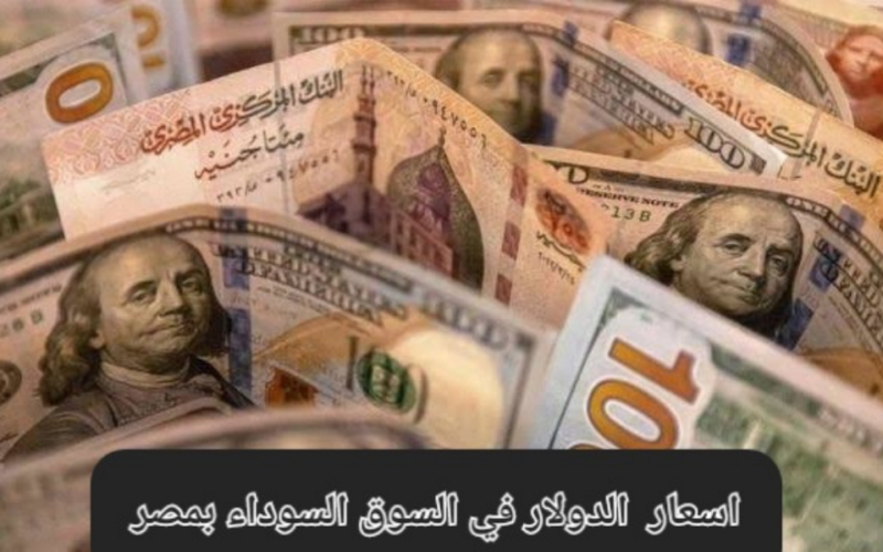 سعر الدولار اليوم مقابل الجنيه المصري السبت 7 سبتمبر 2024.. كم سعر الدولار اليوم في البنوك المصرية؟